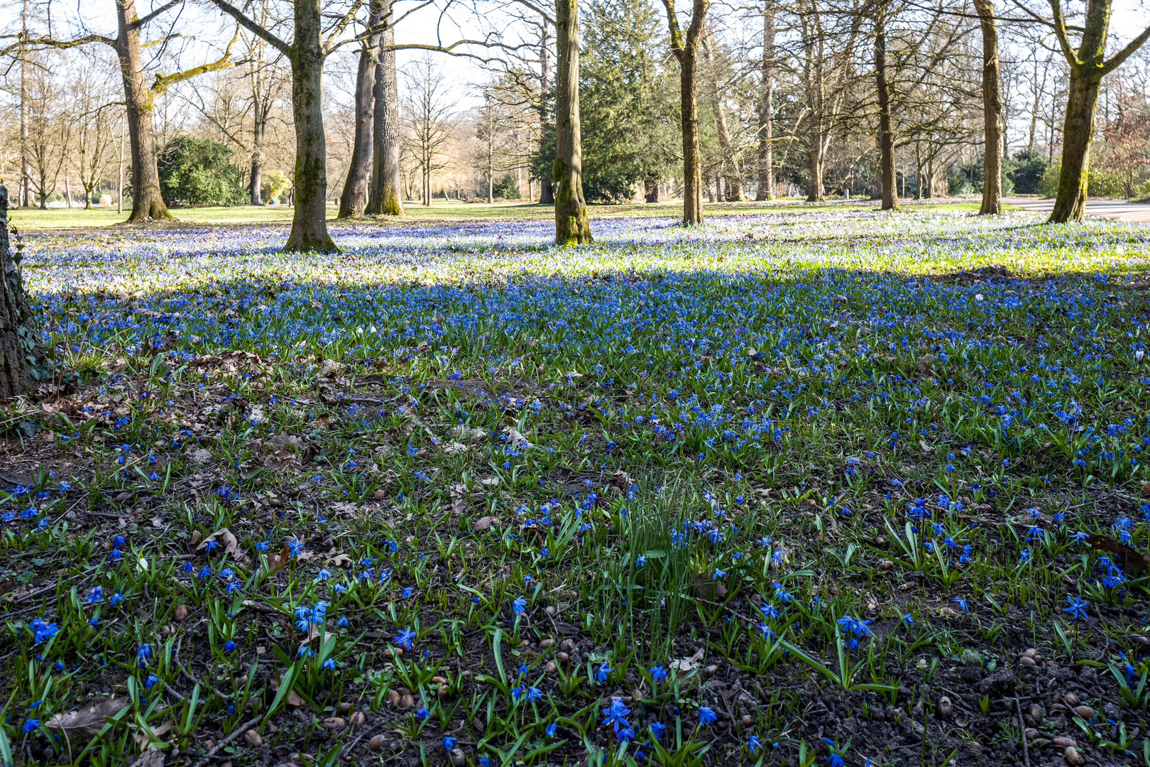 Frühling