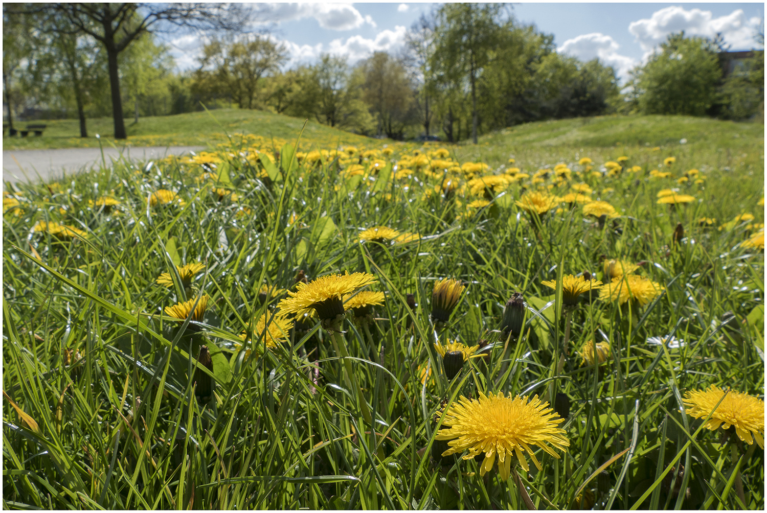 Frühling