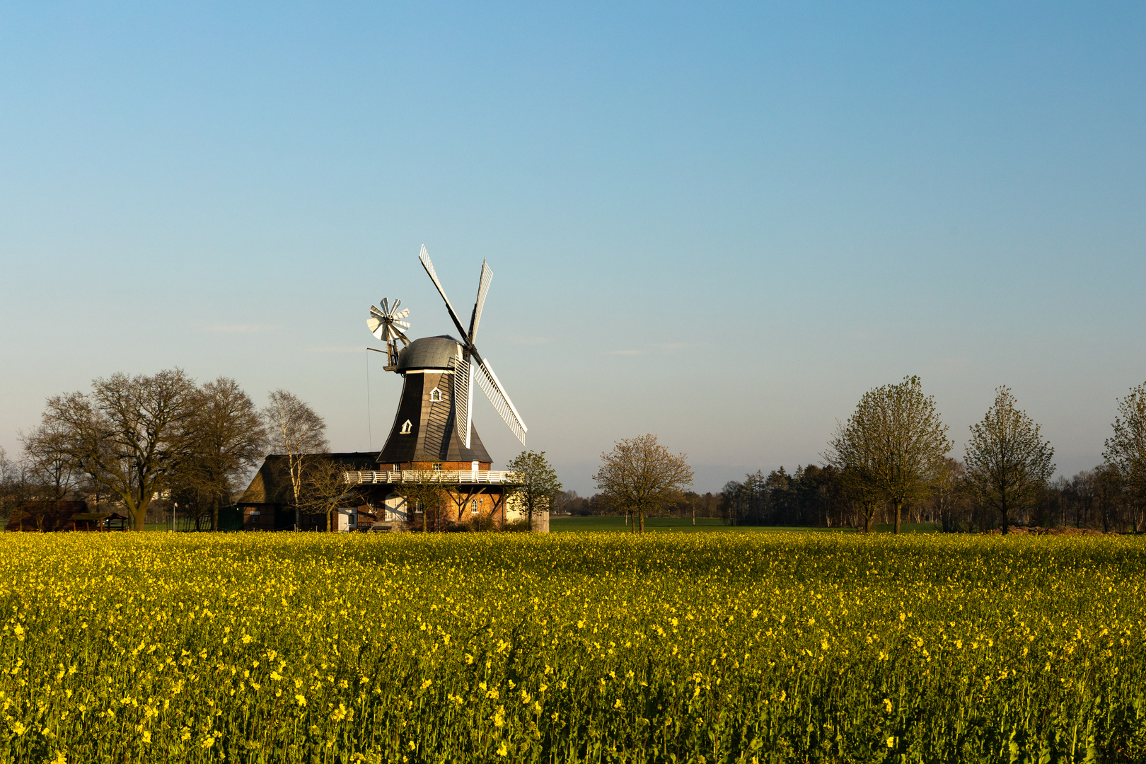 Frühling 