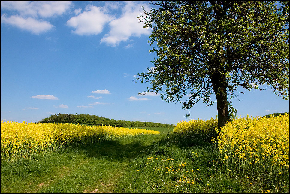 Frühling