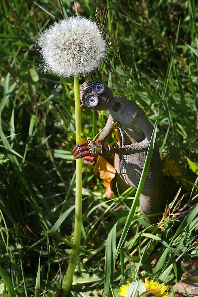 Frühling