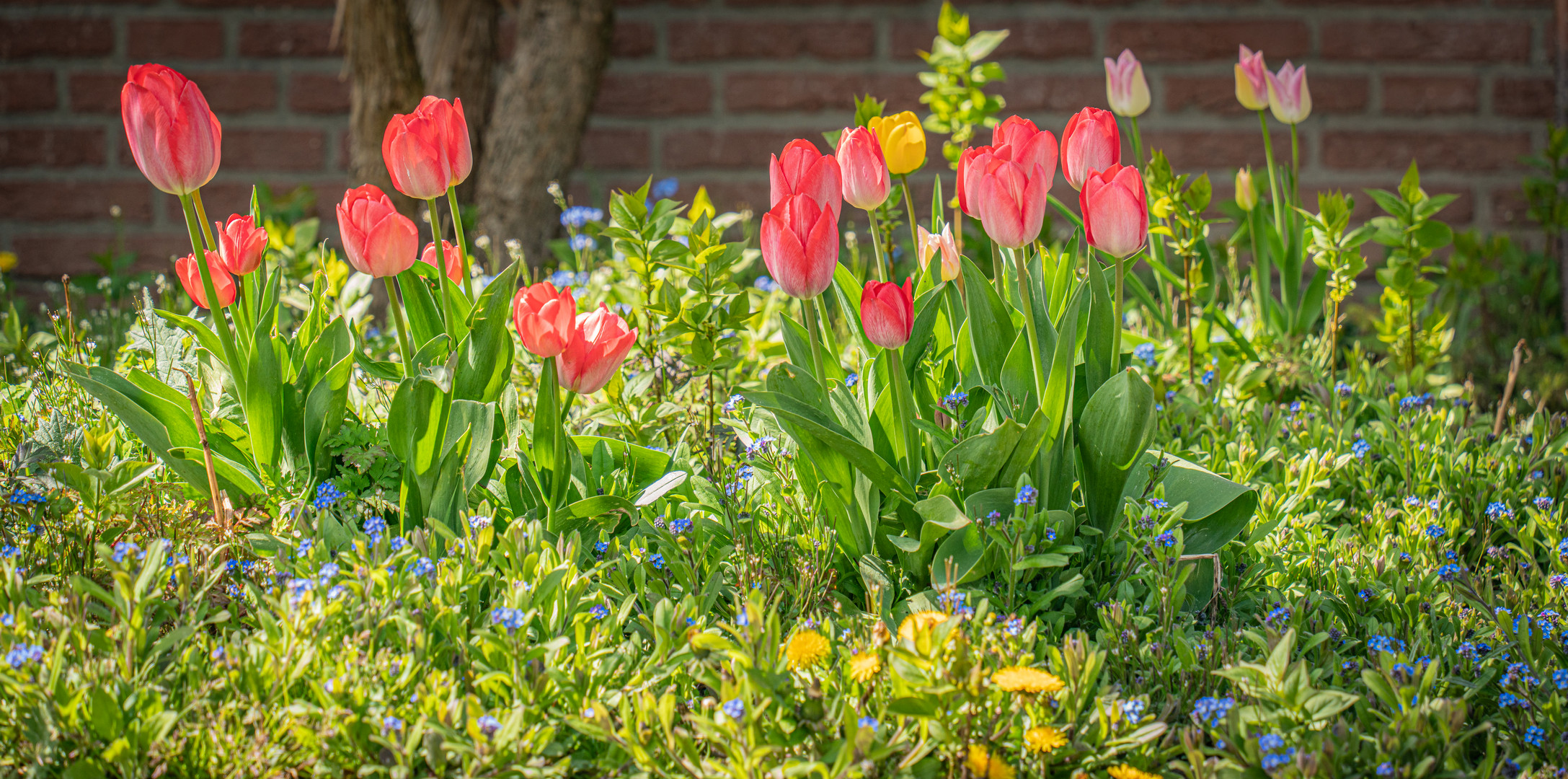 Frühling 