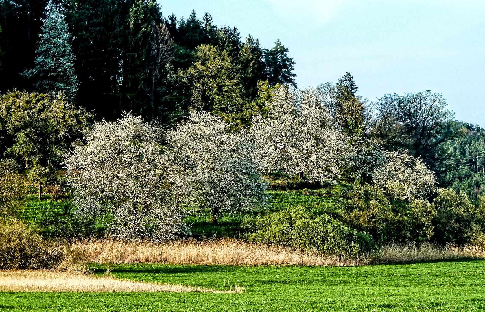 Frühling