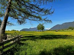 Frühling