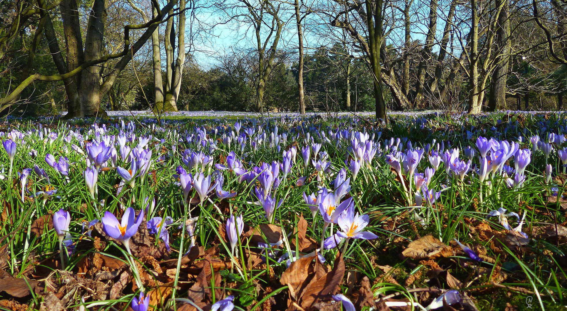 Frühling?