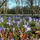 Frühling?