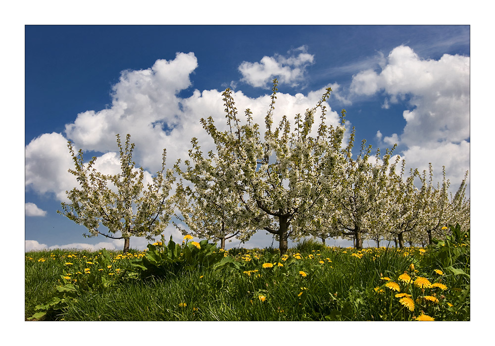 Frühling