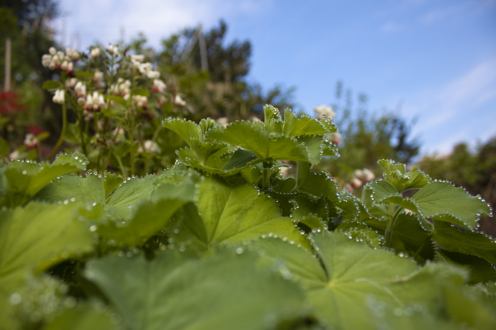 Frühling!