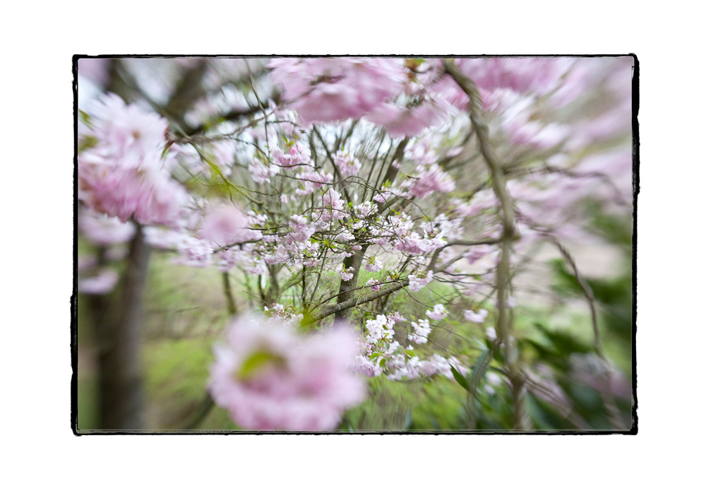 Frühling..