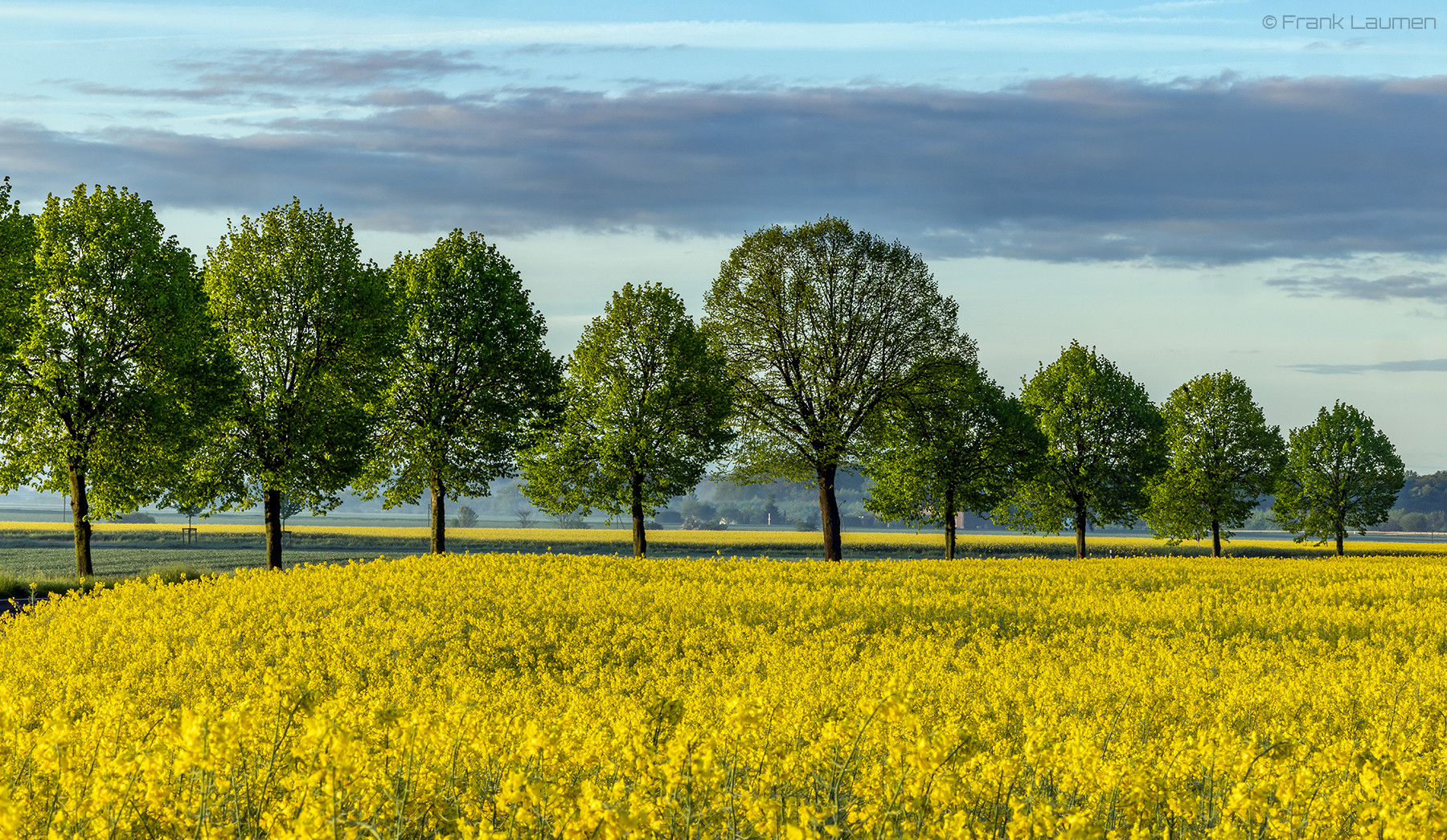 Frühling