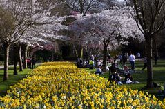 Frühling