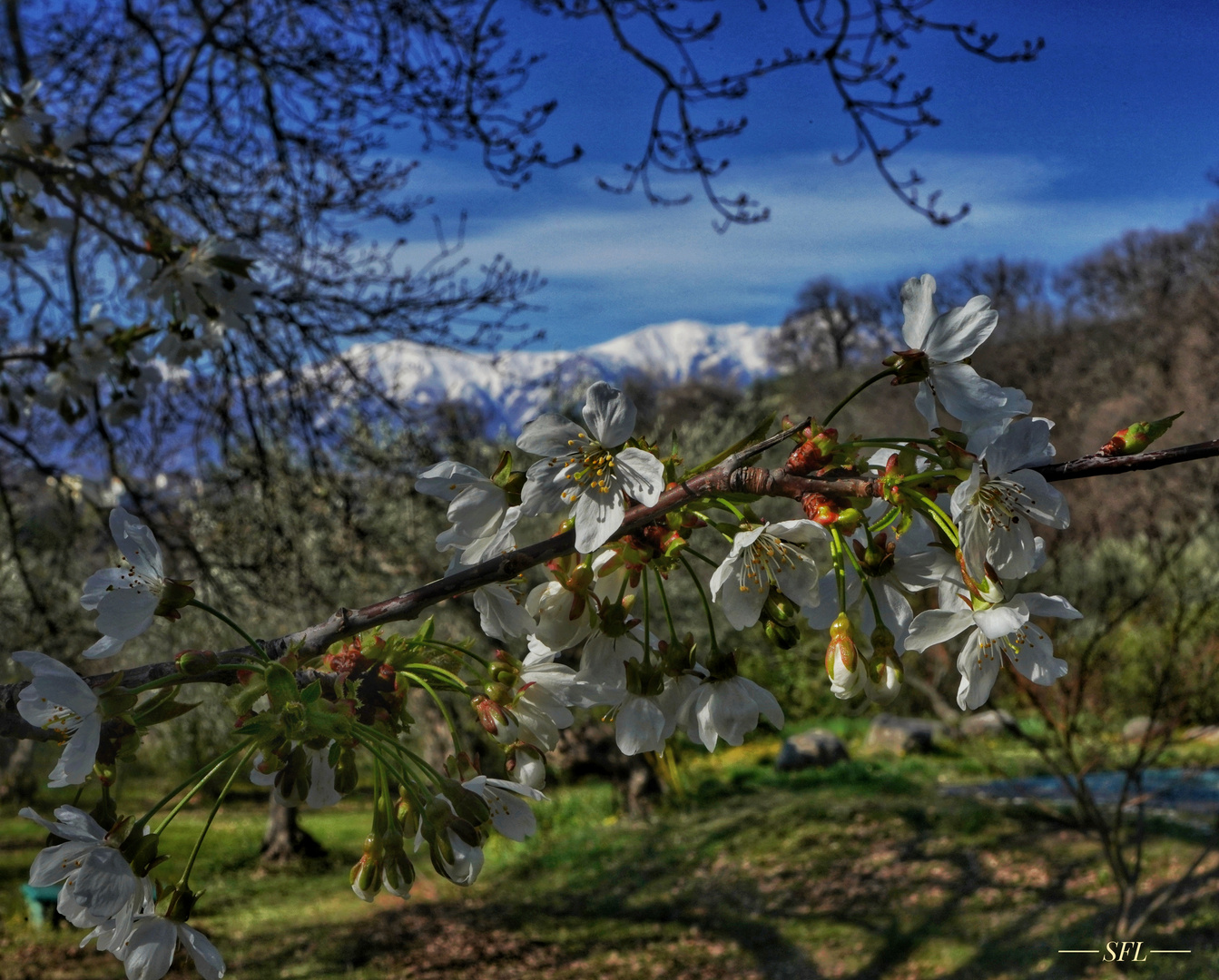 Frühling