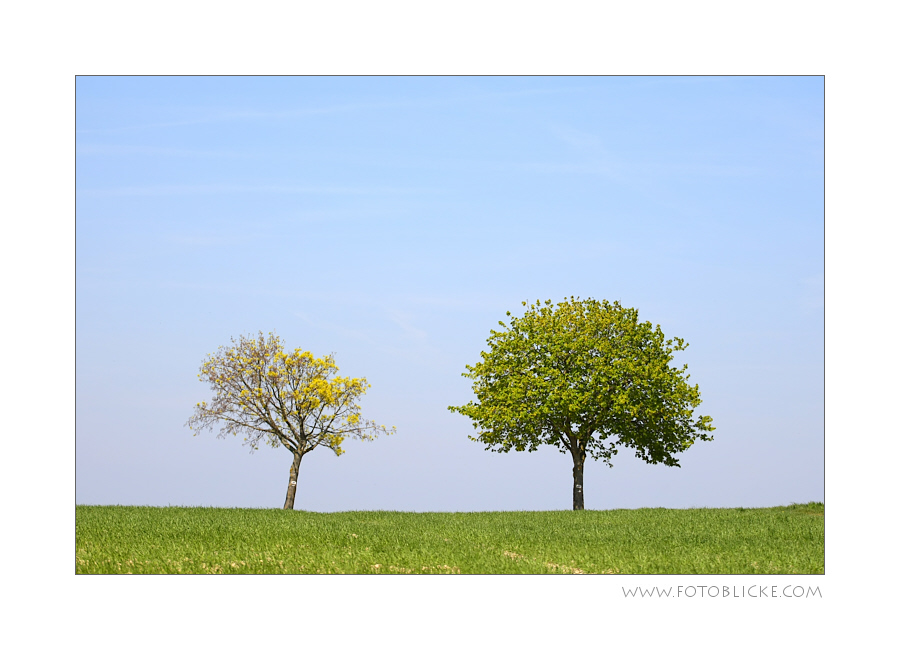 FrühLing