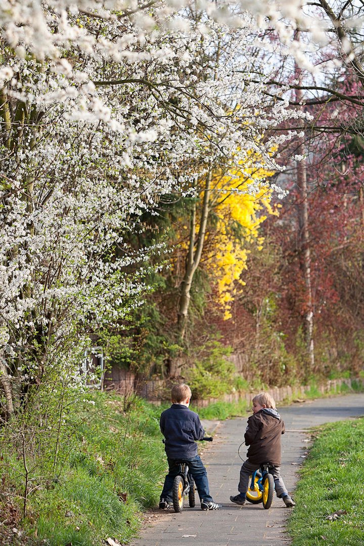 Frühling