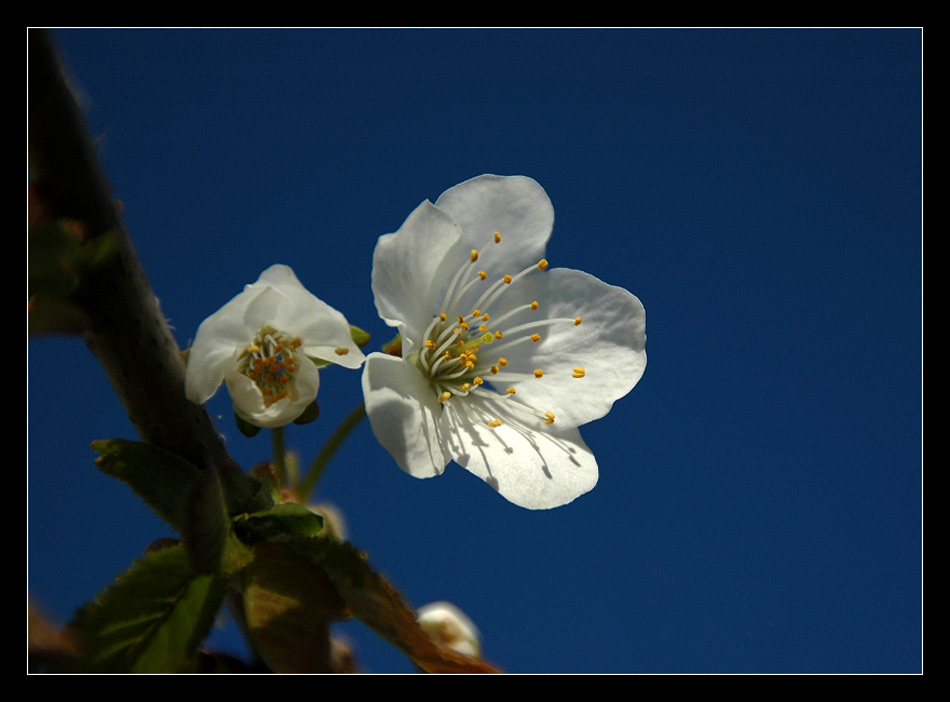 Frühling