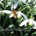 Frühling