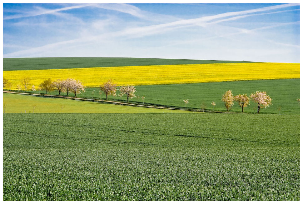 Frühling!!!