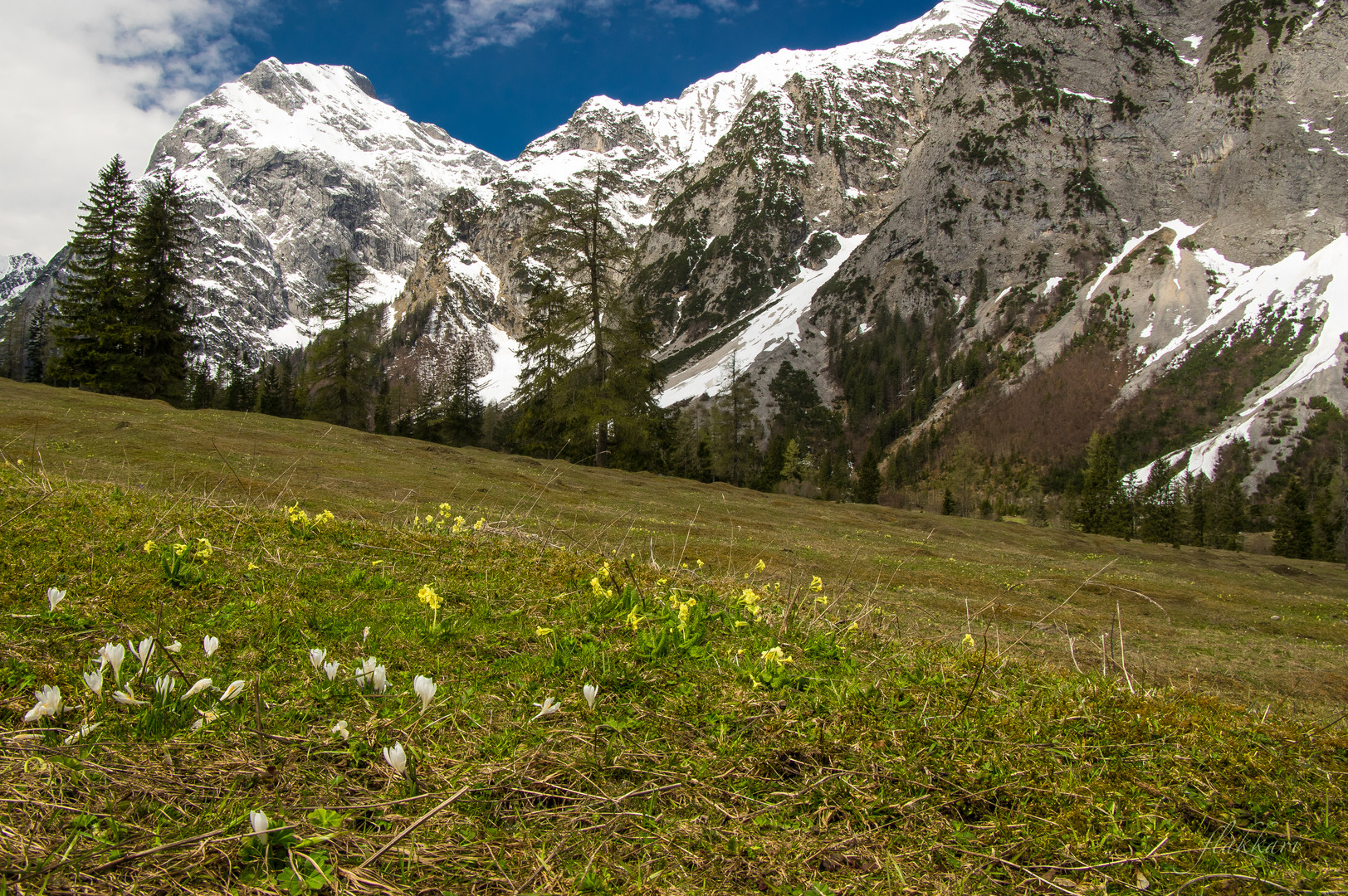 Frühling