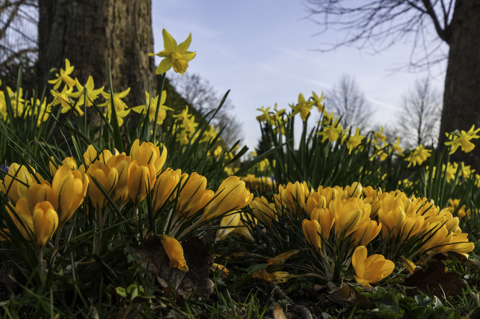 Frühling