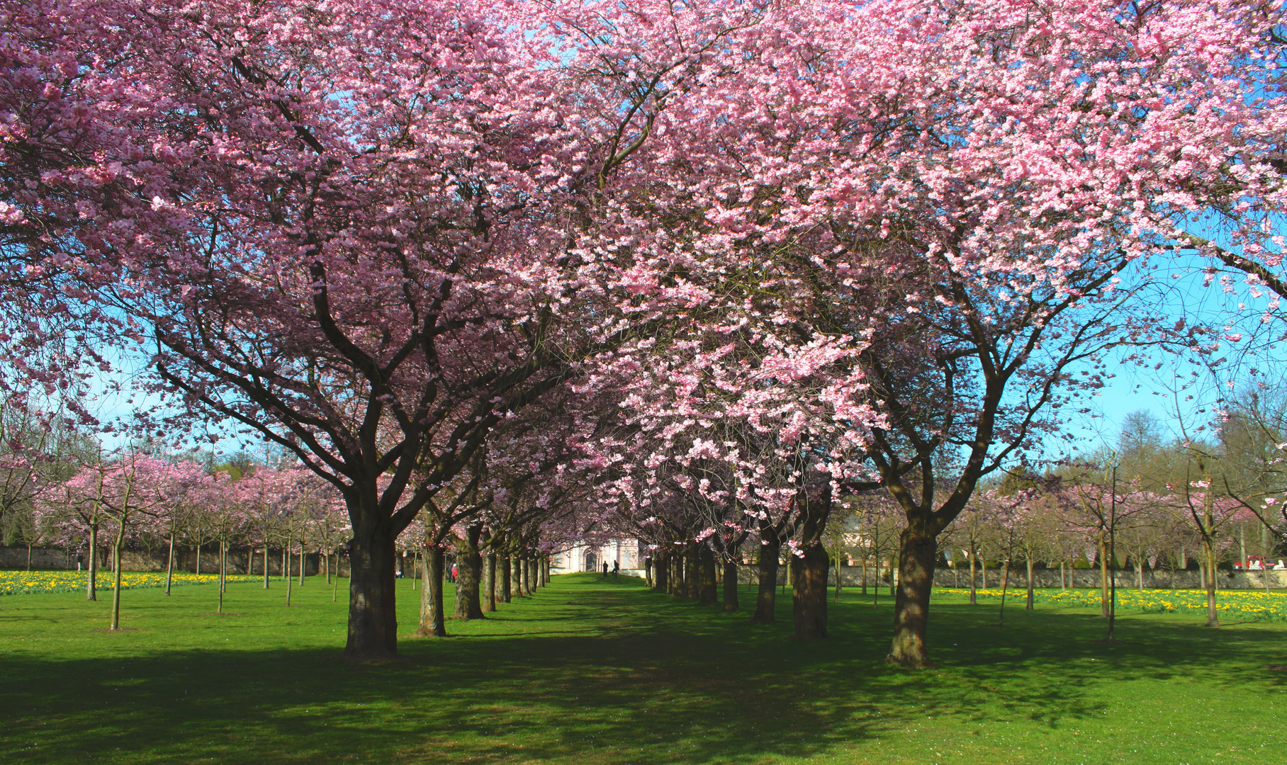 Frühling