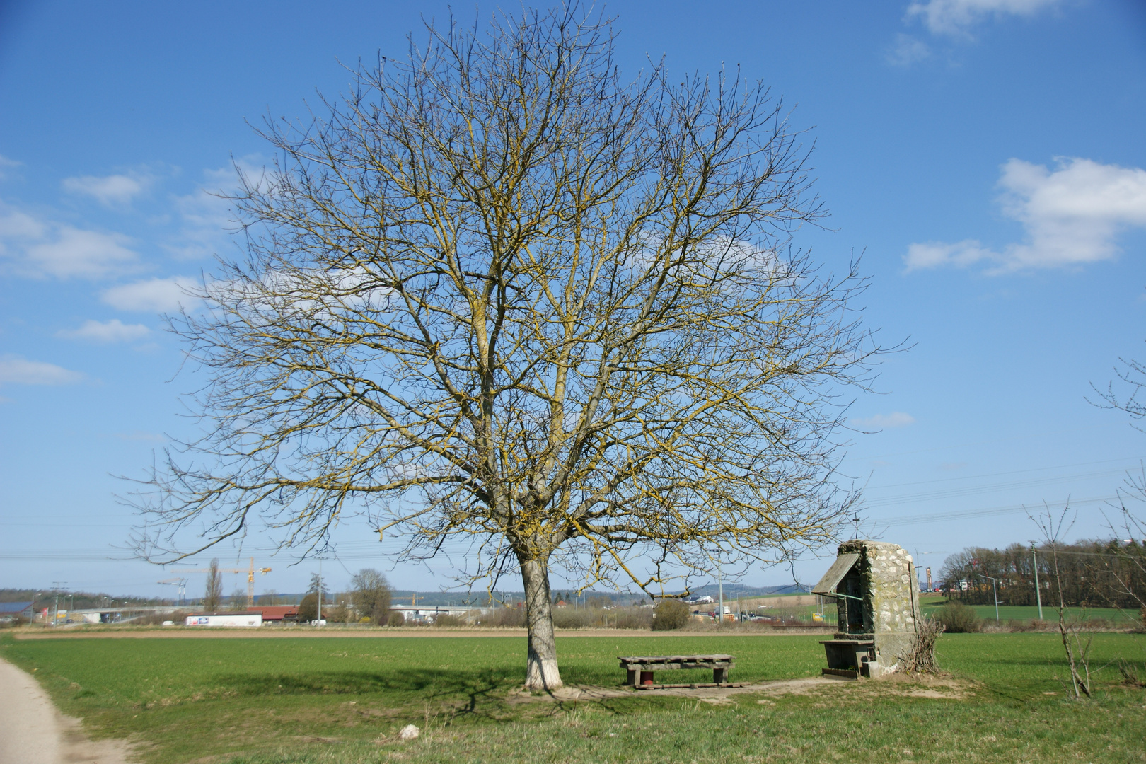 Frühling