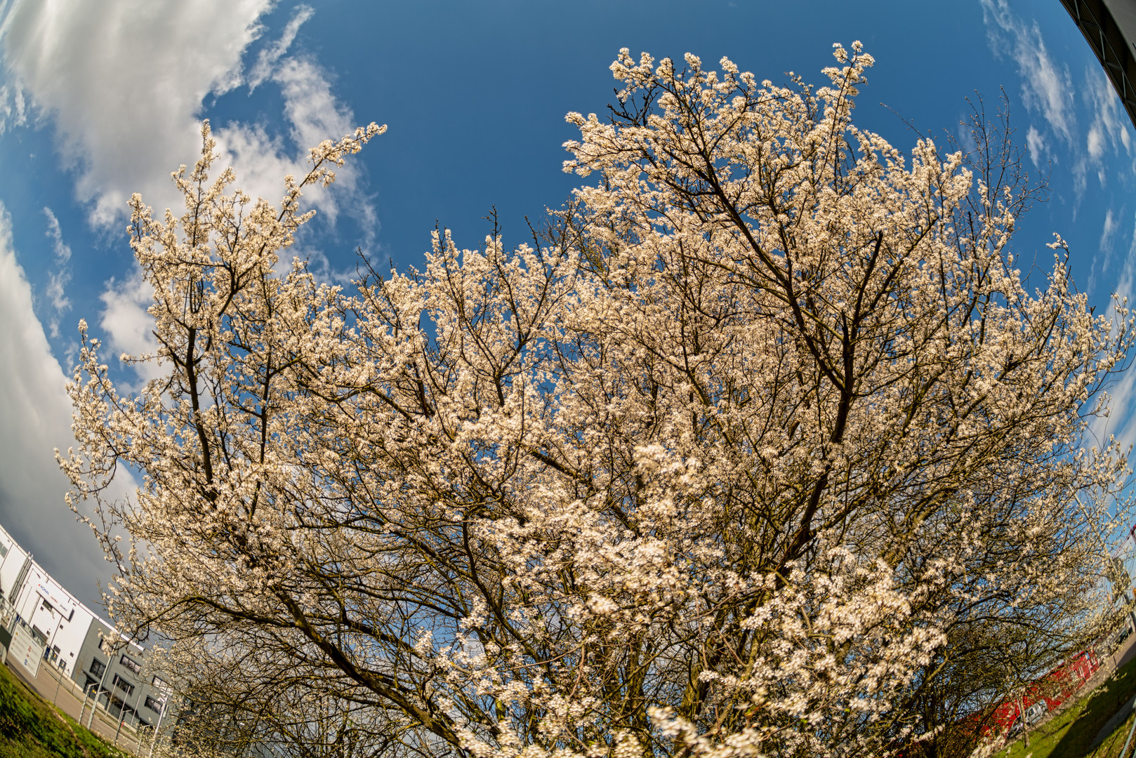 Frühling