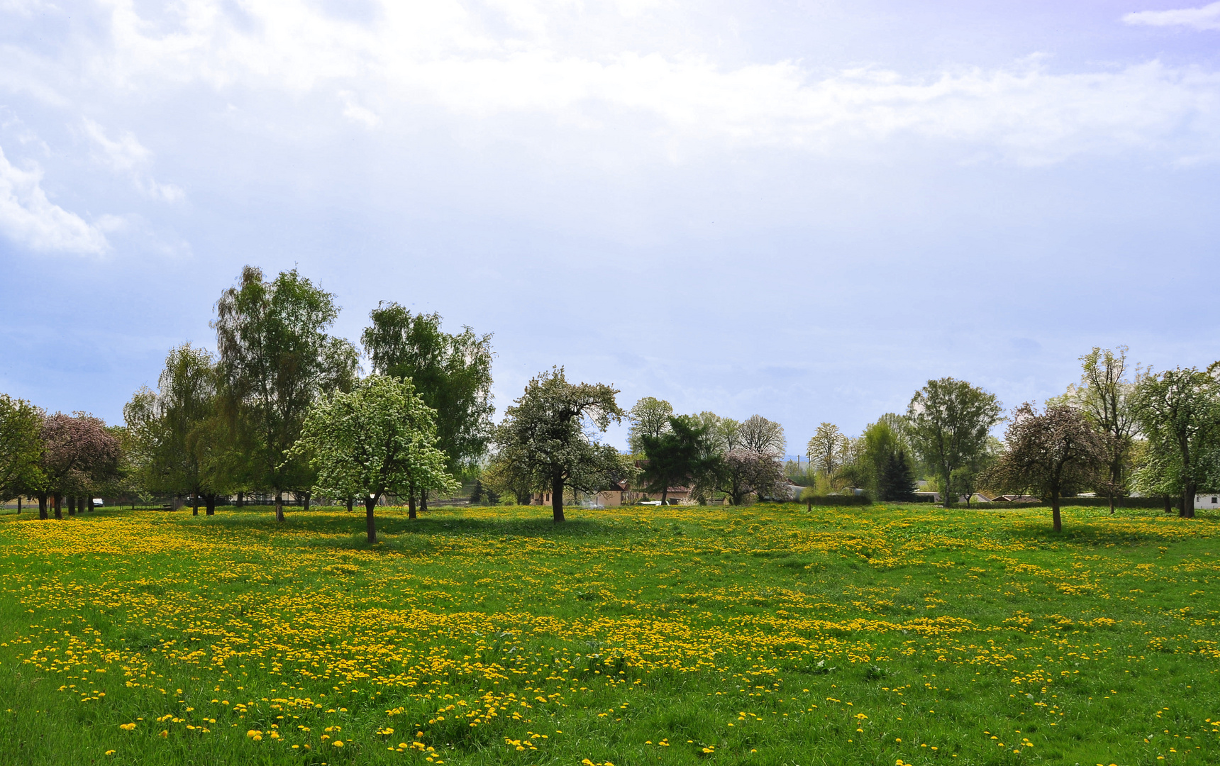 Frühling..........