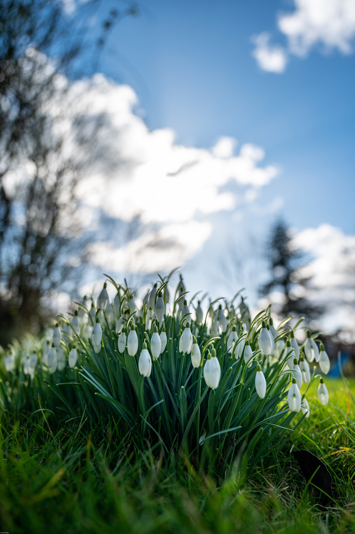 Frühling