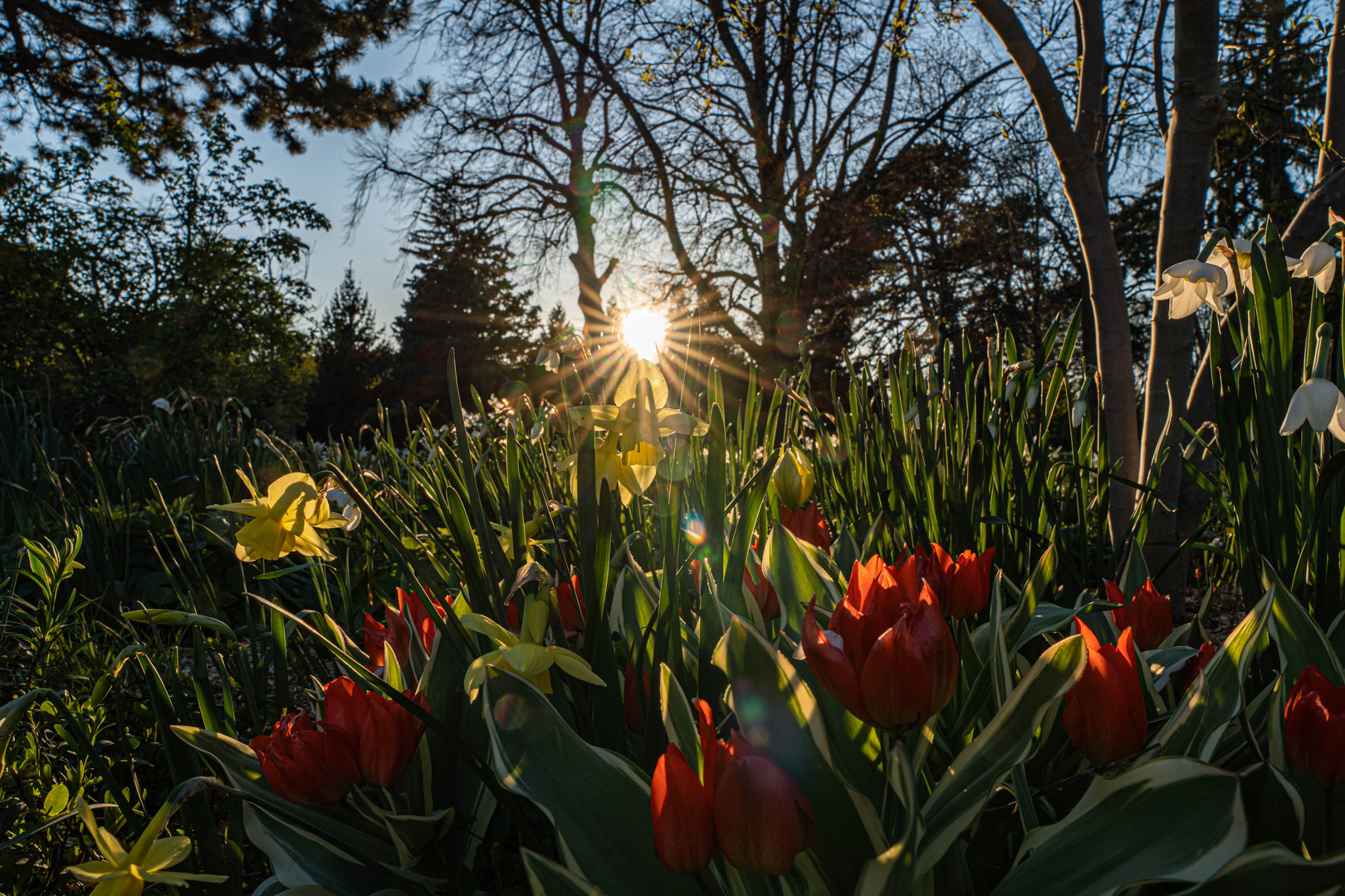 Frühling