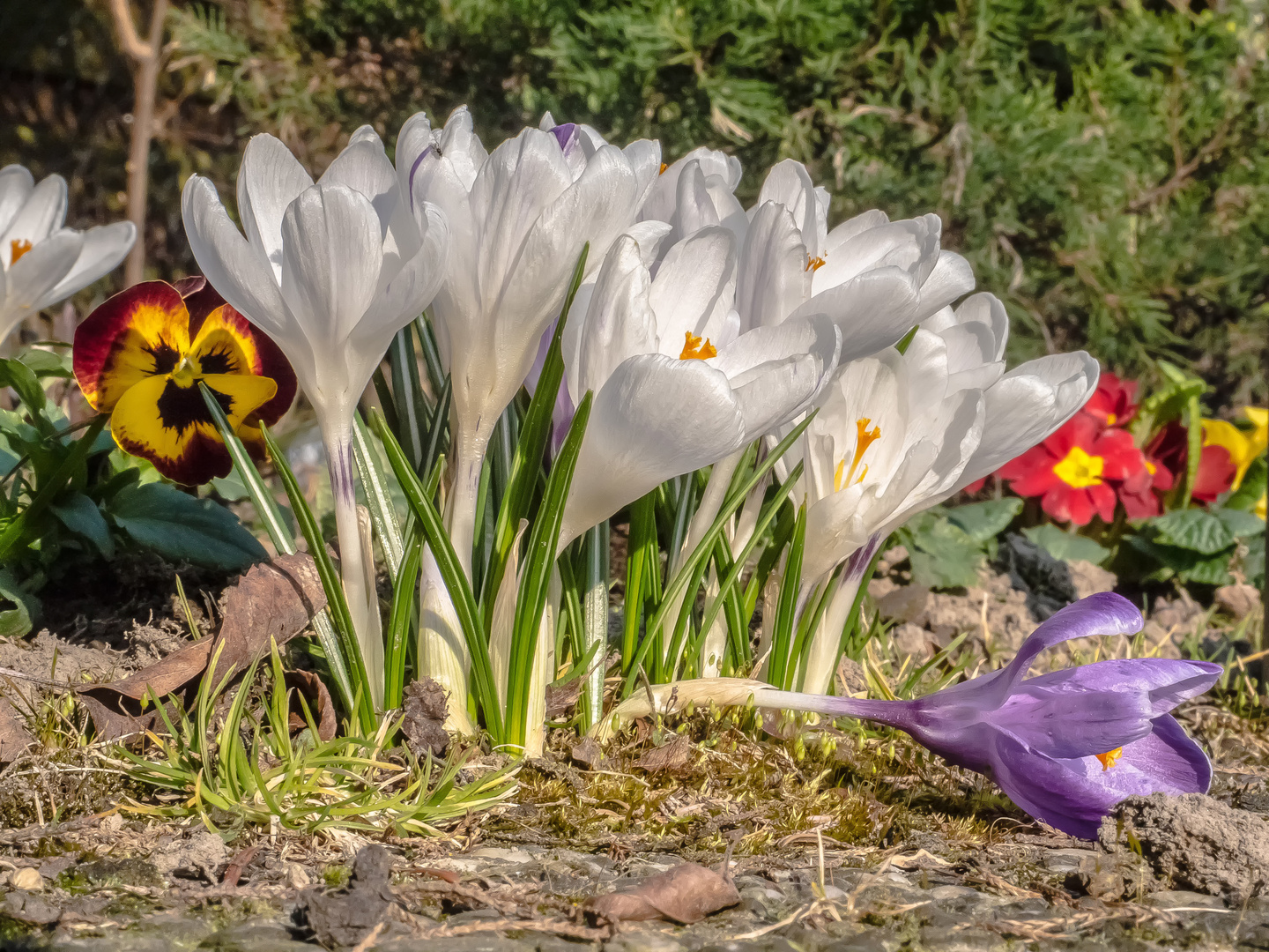 Frühling!