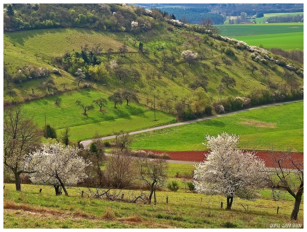 Frühling