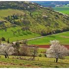 Frühling