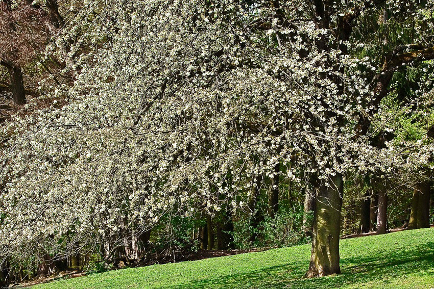 Frühling