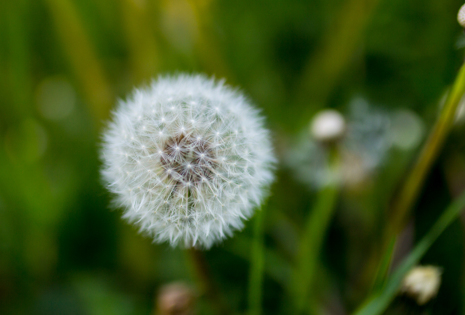 Frühling