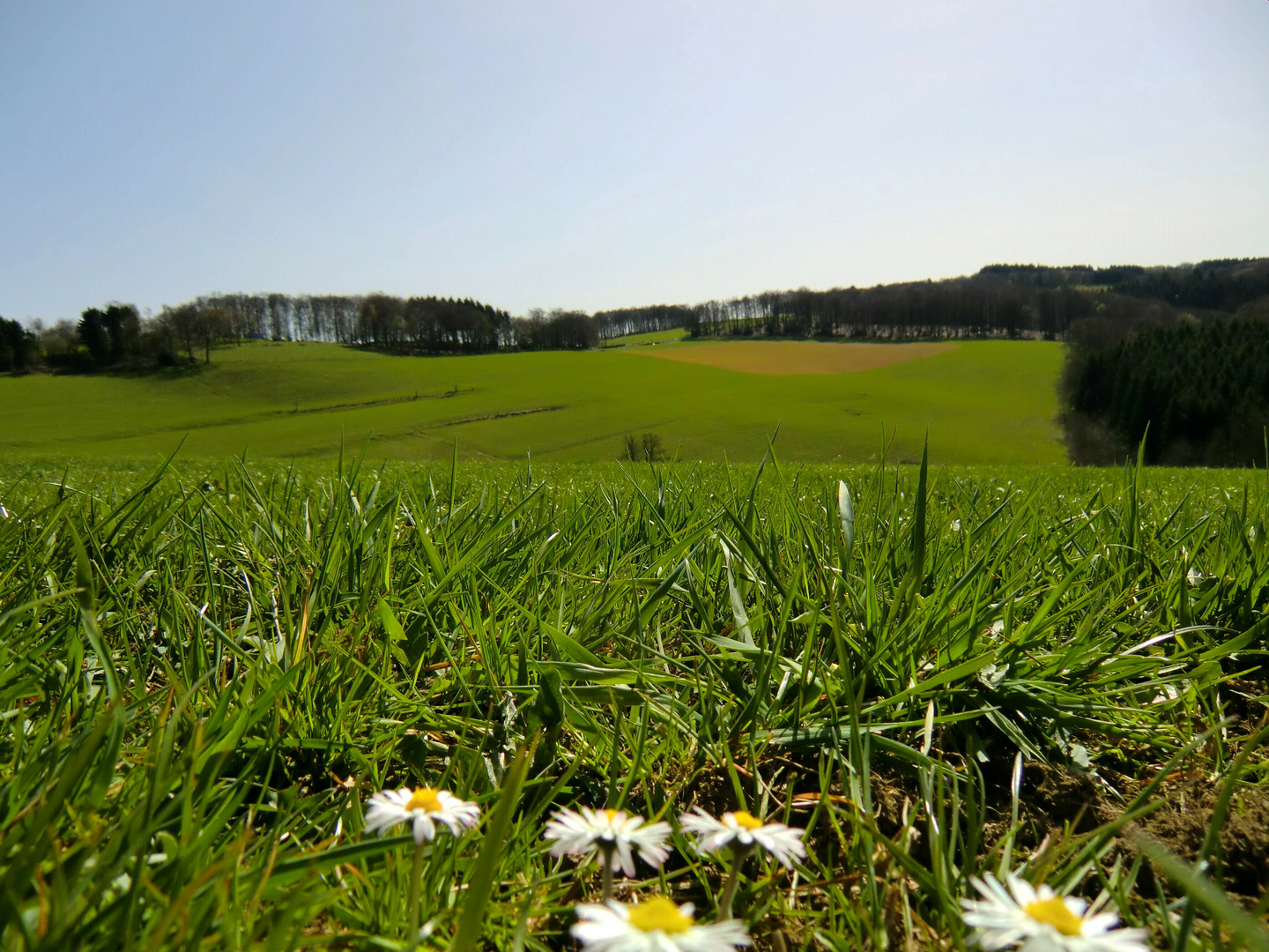 Frühling