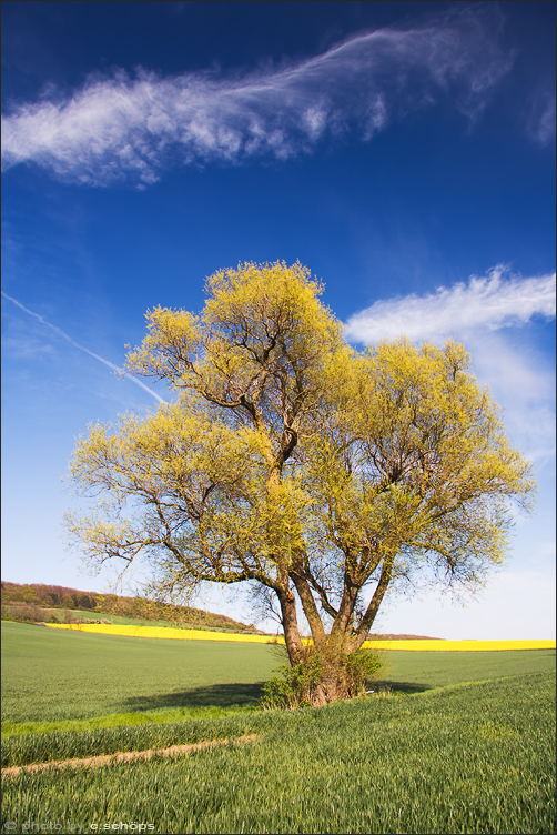 Frühling