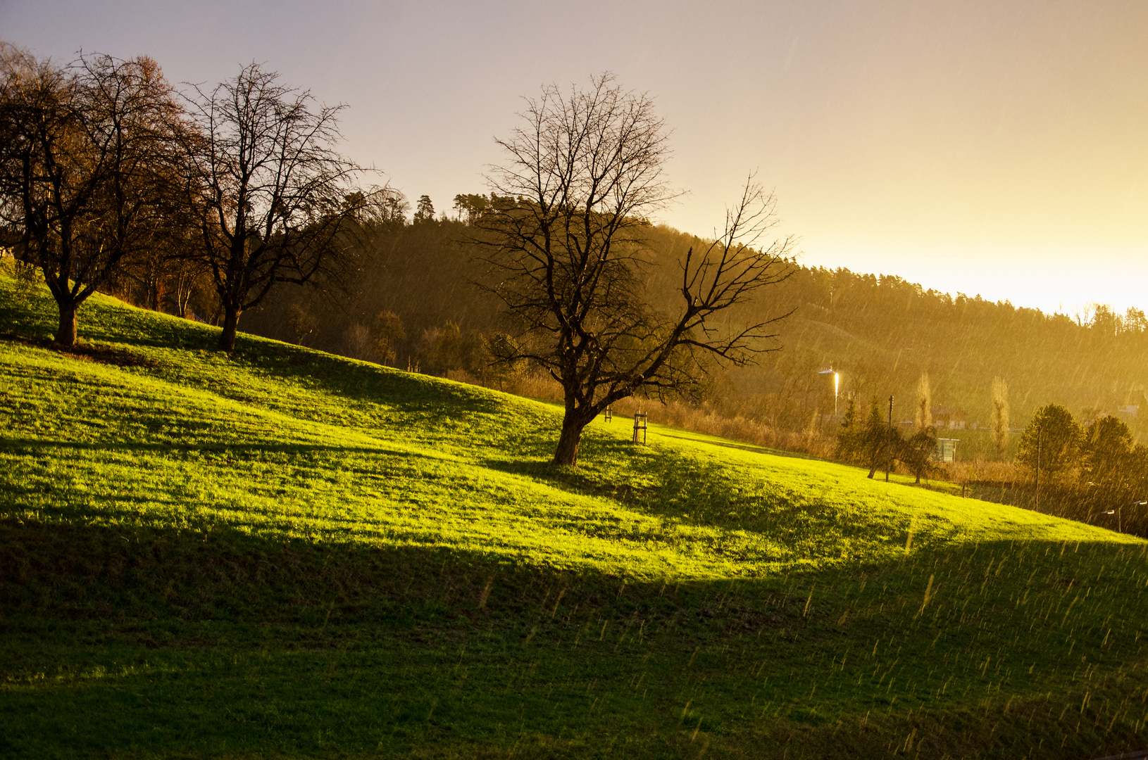 *Frühling*