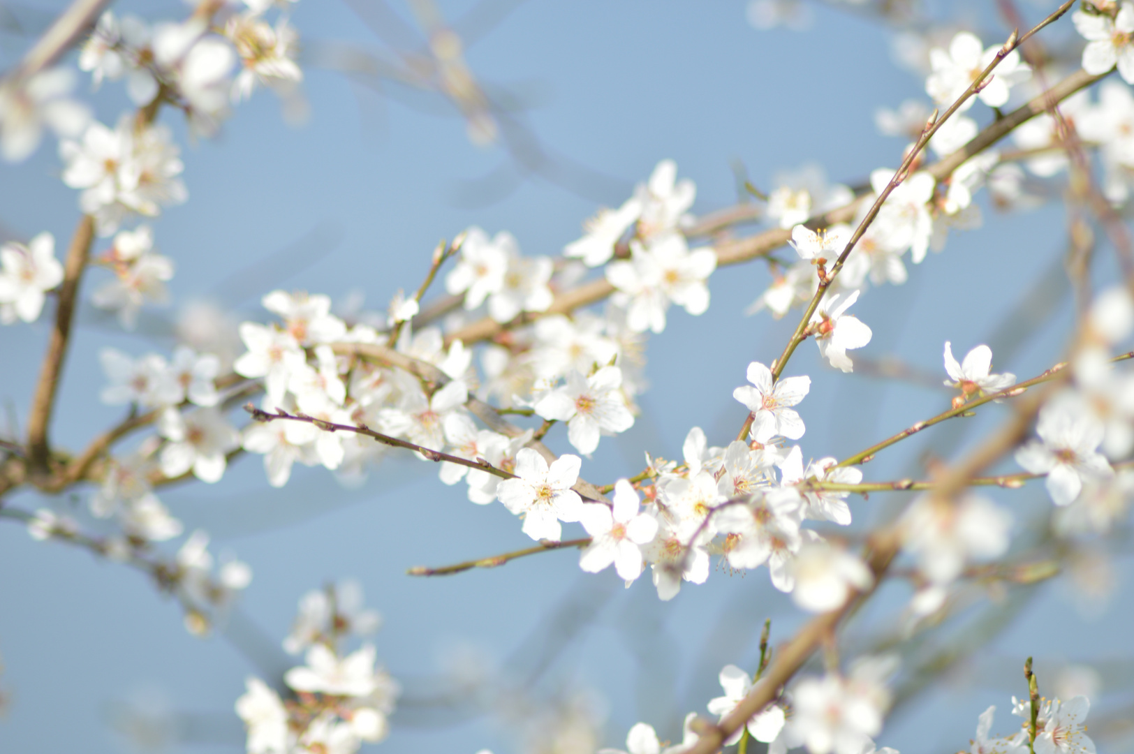 Frühling