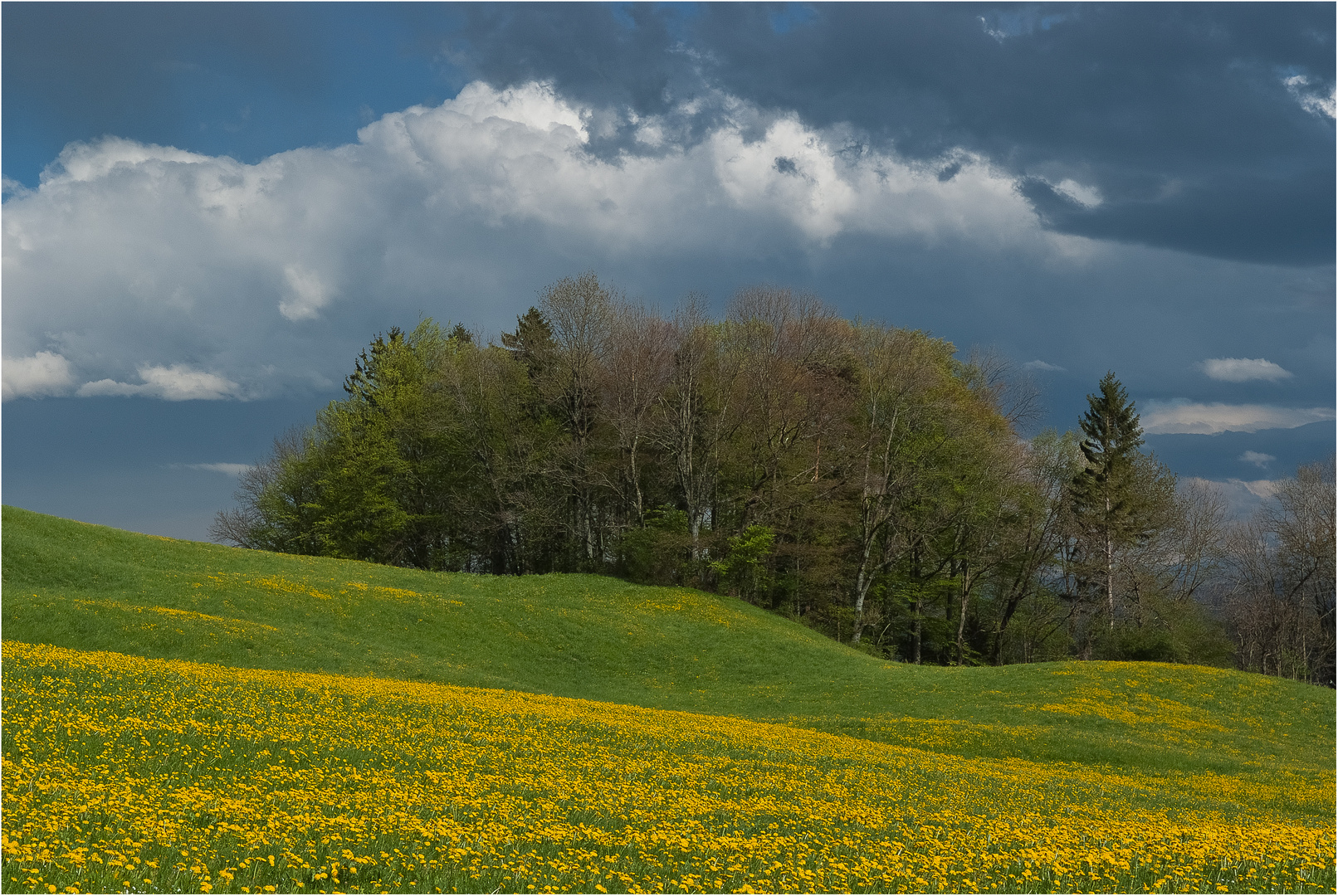 Frühling