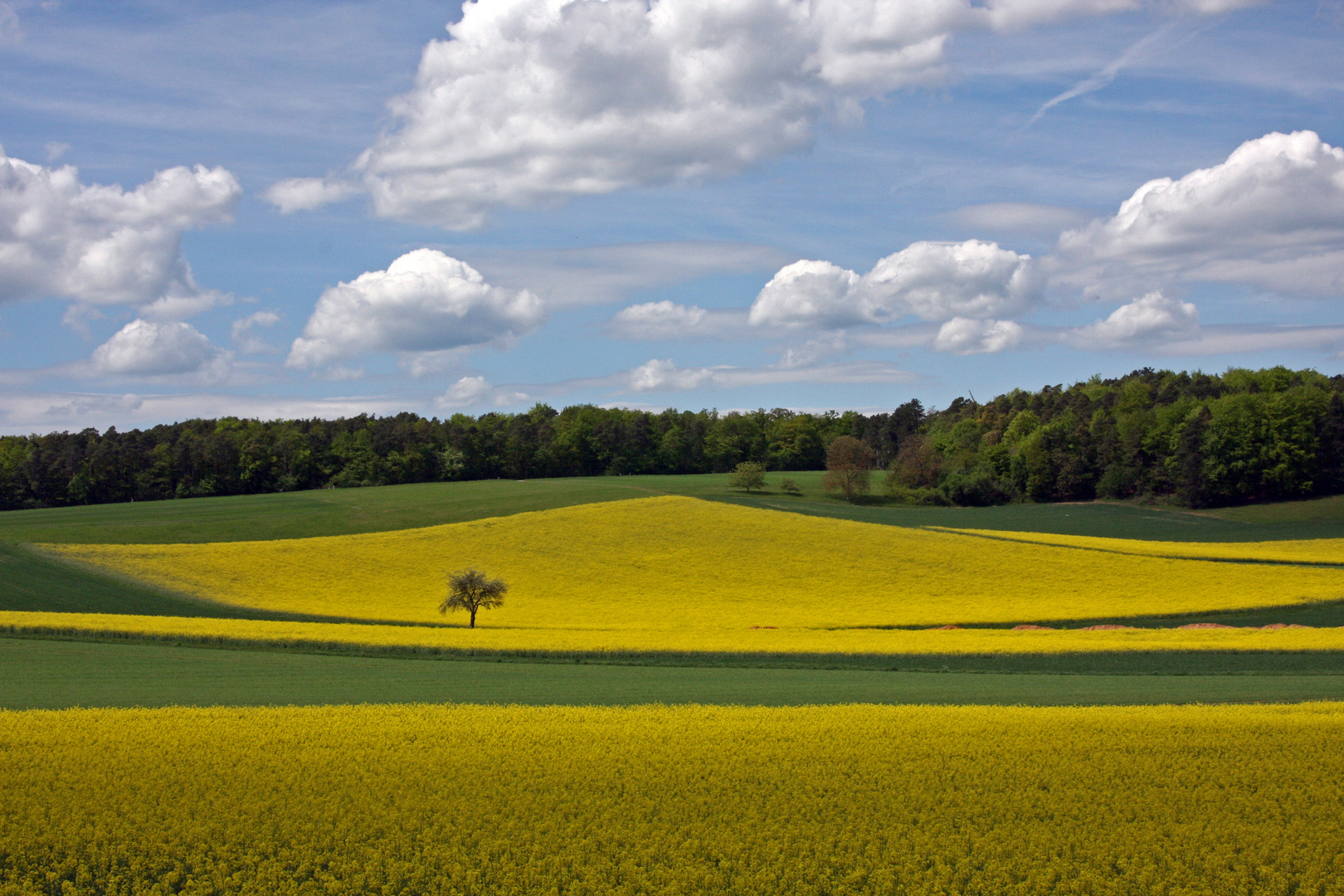 Frühling