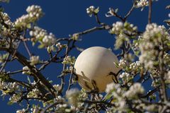 Frühling