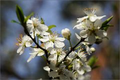 Frühling