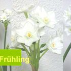 Frühling