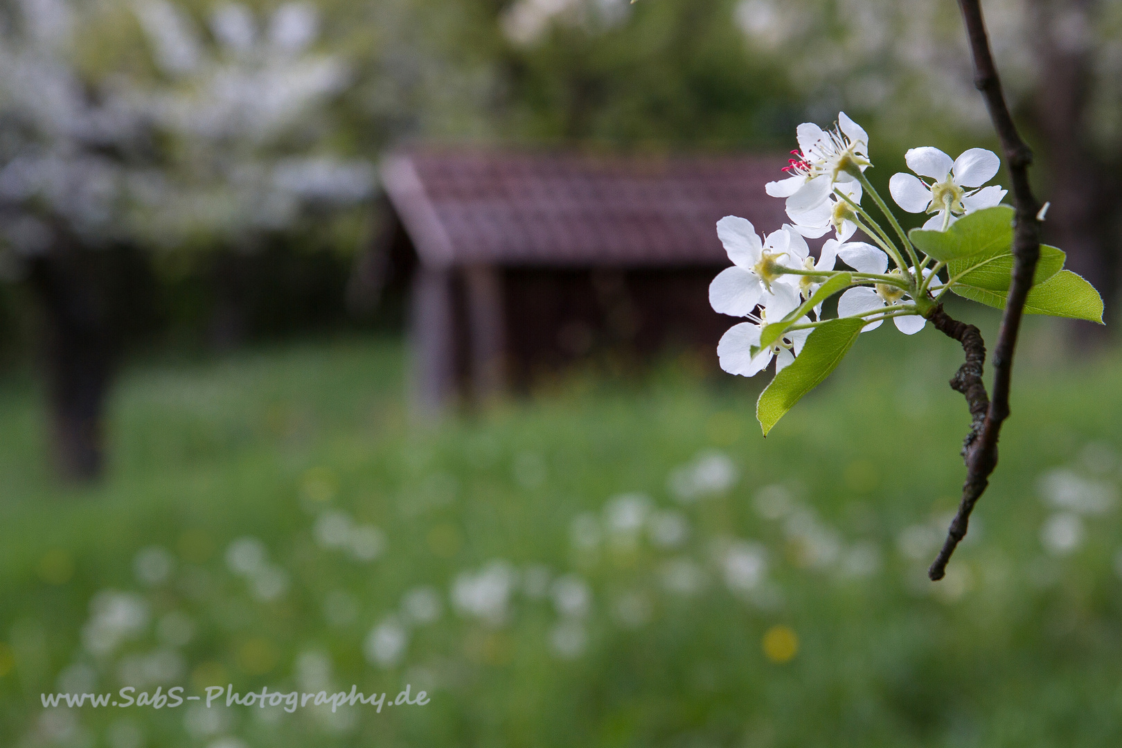 Frühling