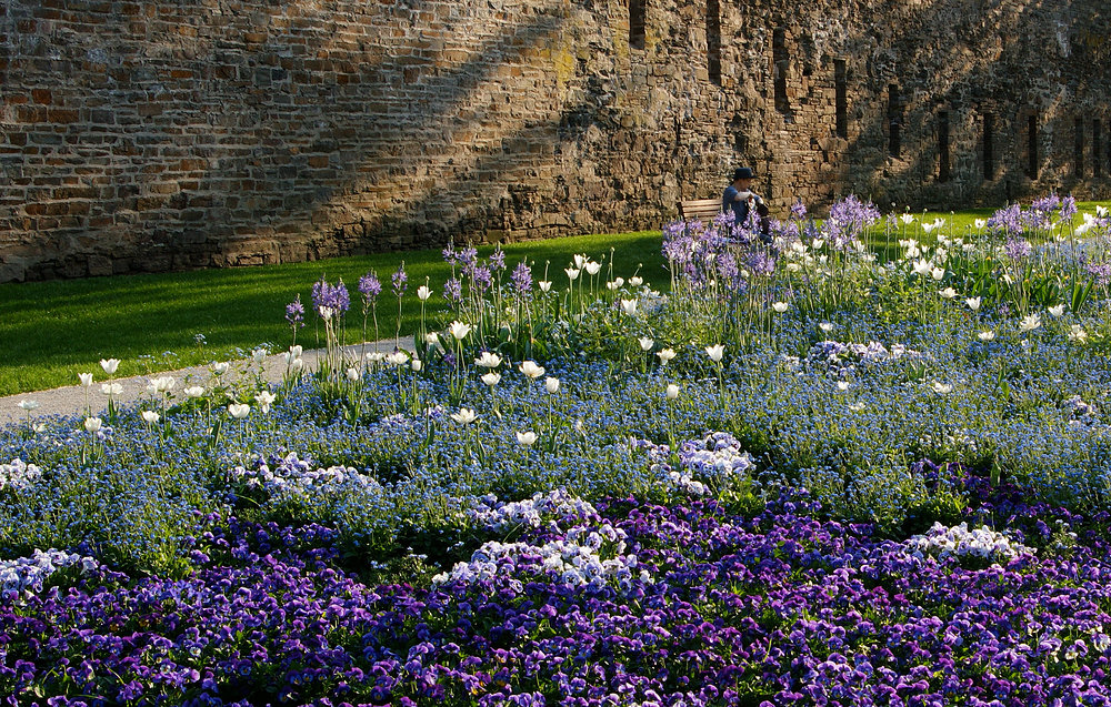 Frühling