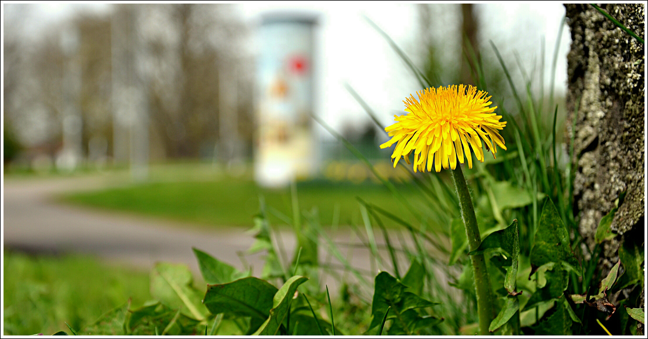 Frühling