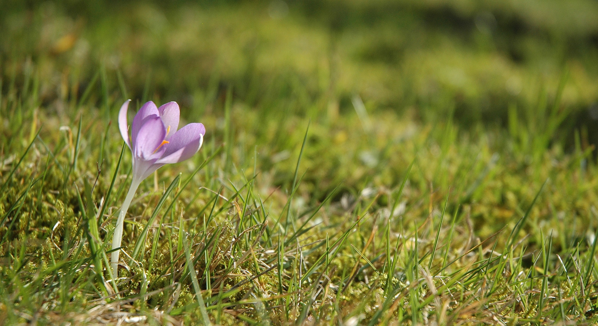 Frühling