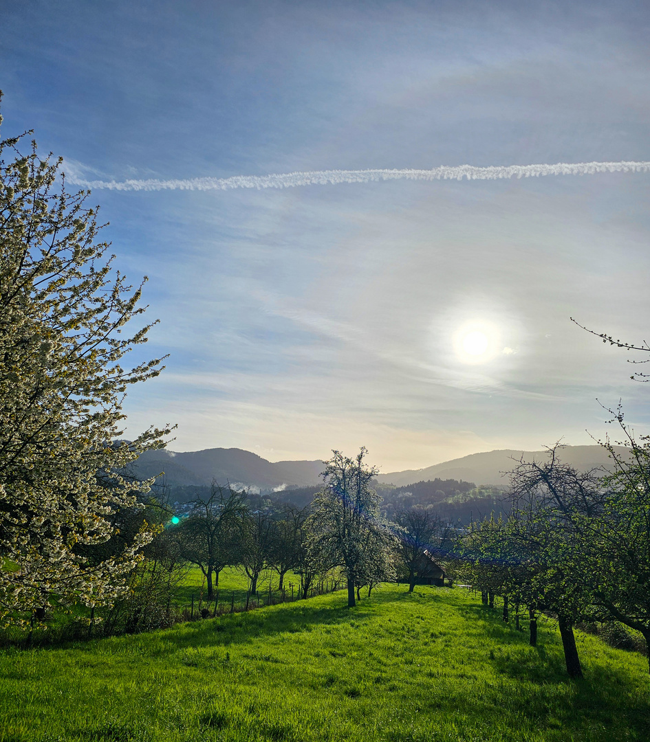 Frühling 