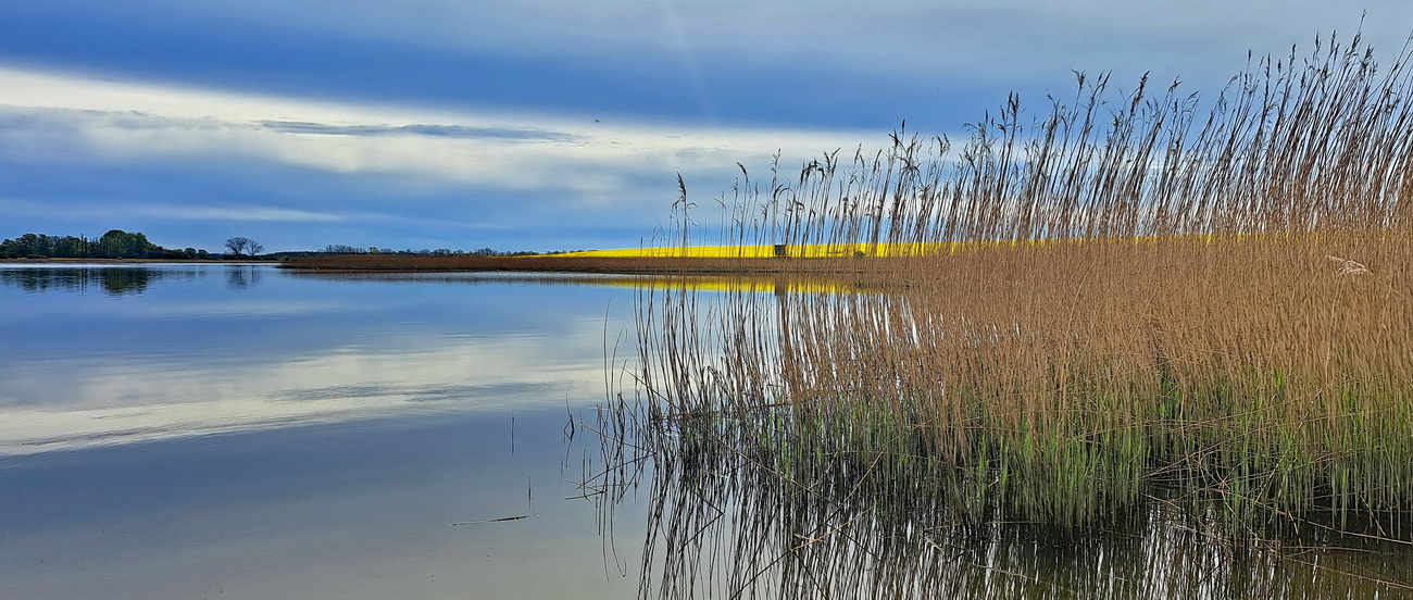 Frühling