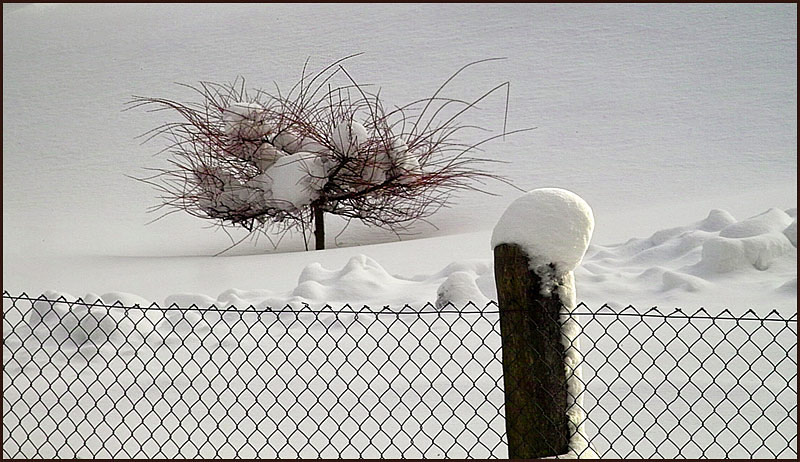 Frühling :-))